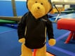 Teddy rocking our club Hoodie