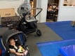 Baby Cossey & baby Jordan - more newbies for 2025!